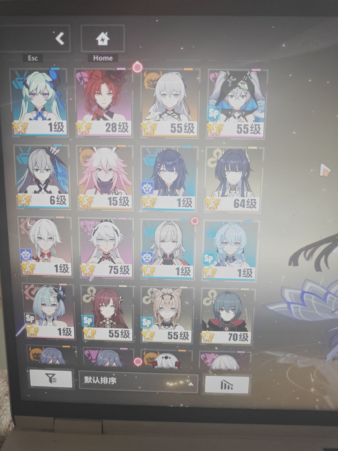 新手求问 4