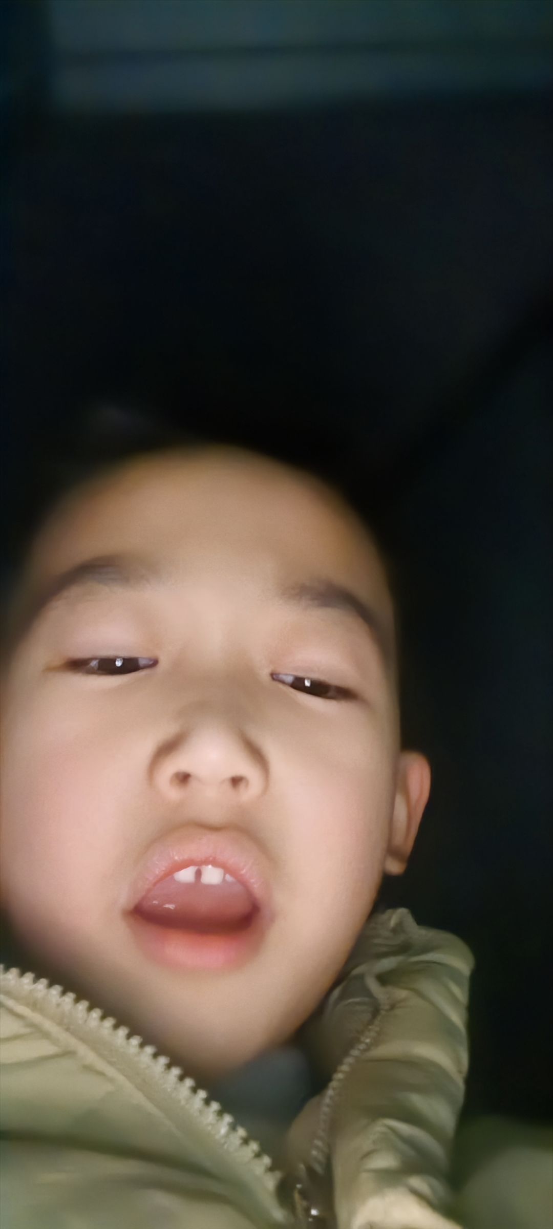 动态图片 12