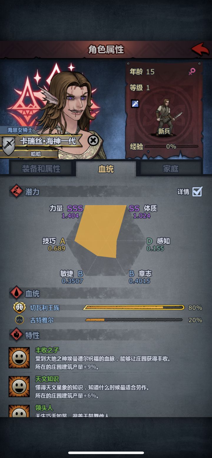 各位大佬。这个玩啥。重骑还是什么?截图