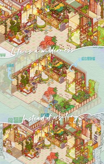 如果你在家里种了超多植物…🌿