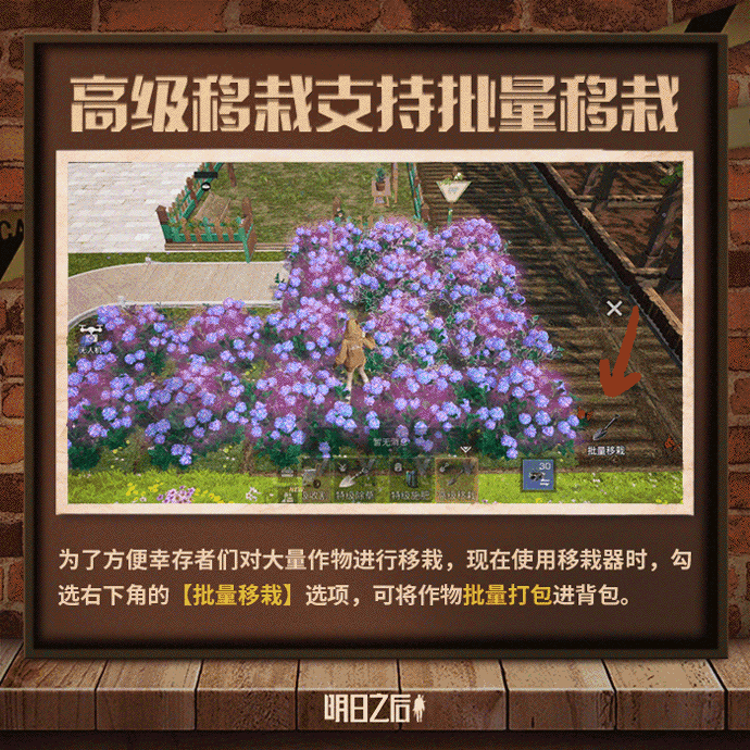 【庄园优化盘点】种田交给俺，你就放心吧！ 2