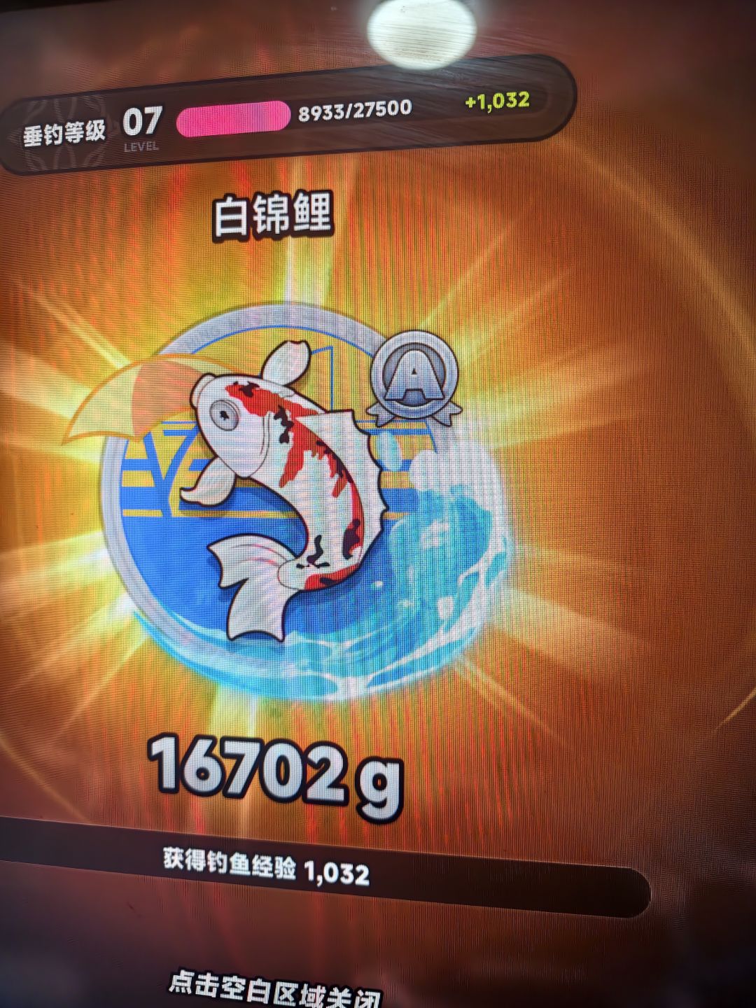 今天鱼获 1