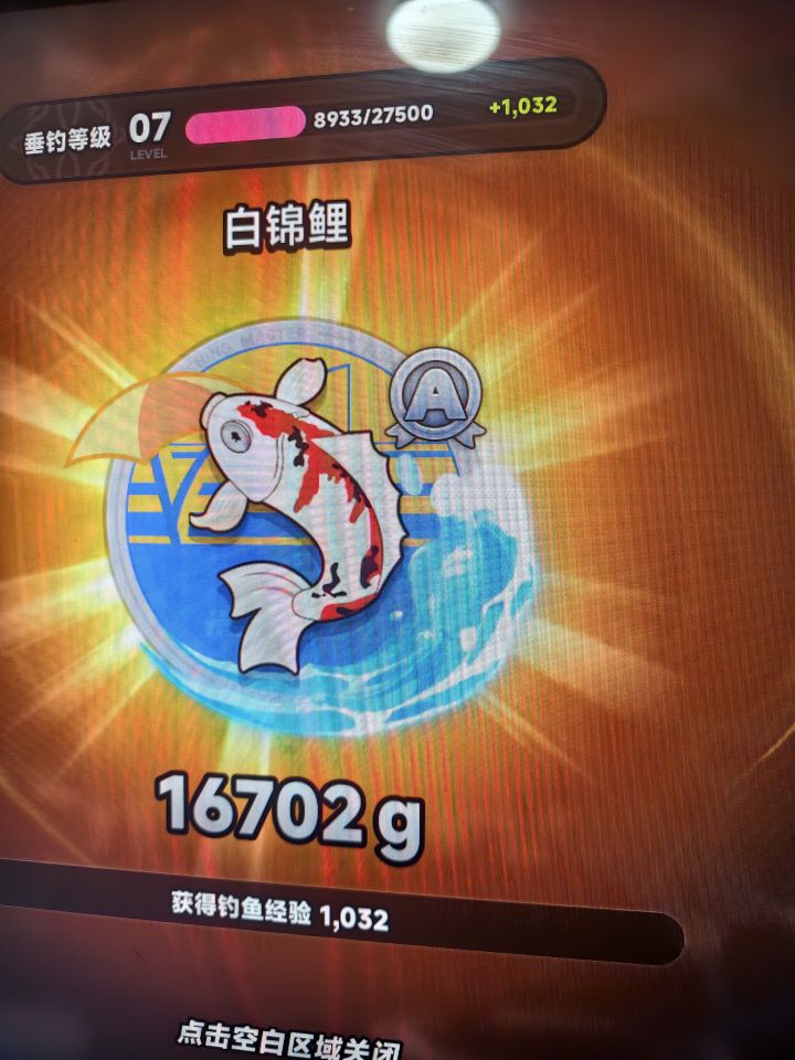 今天鱼获截图
