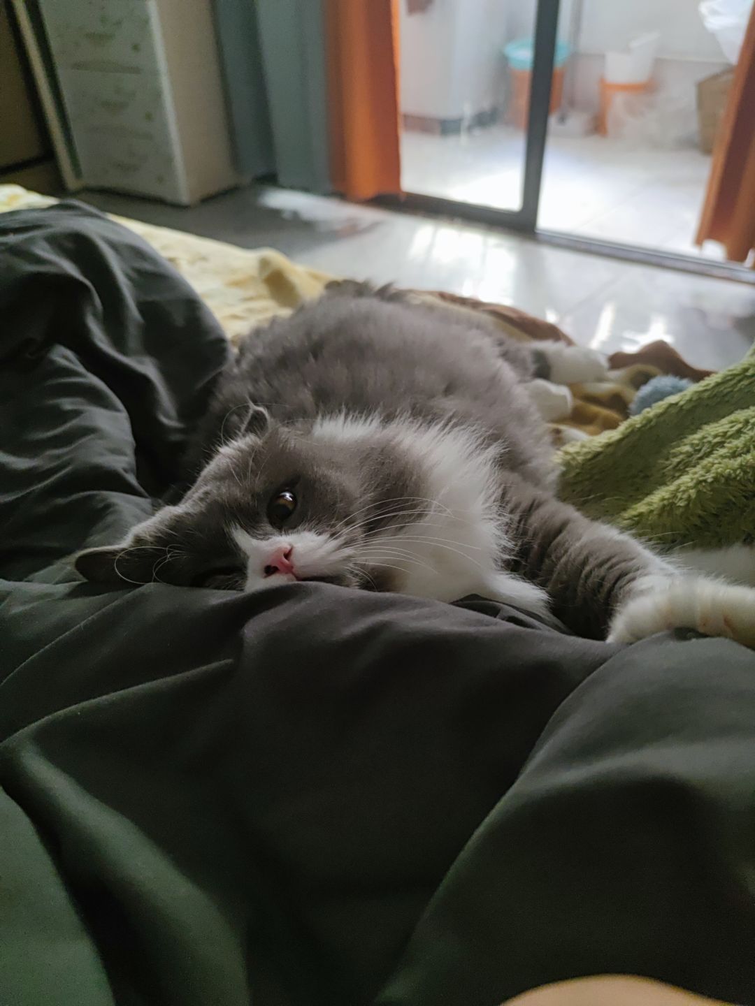 以后日记都发这条动态里啦截图