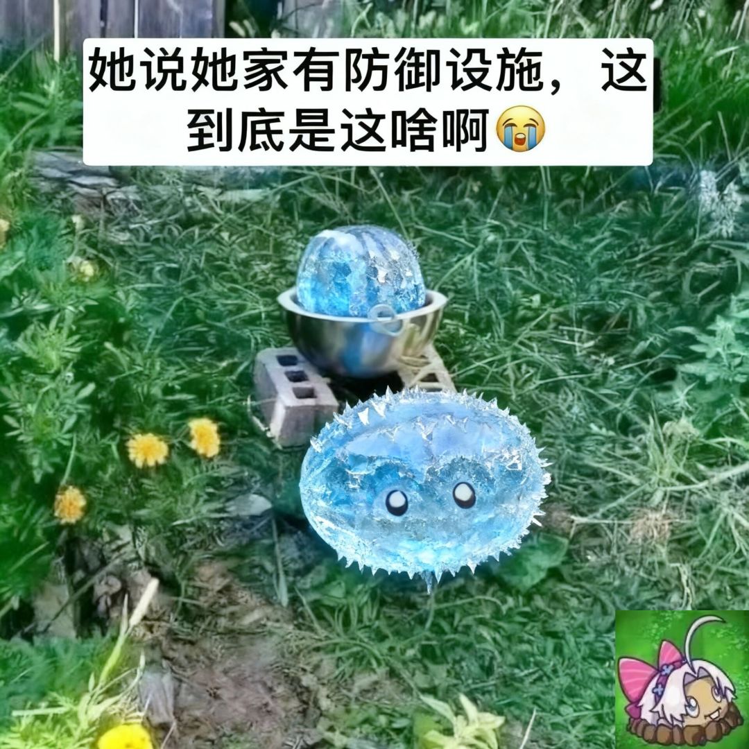 2.4到2.7的等待,可爱的露帕增援未来 1