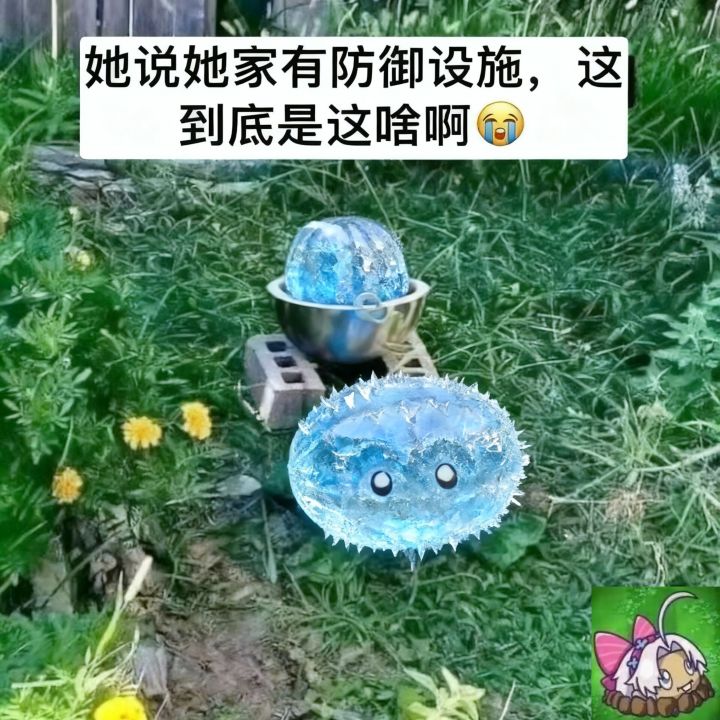 2.4到2.7的等待，可爱的露帕增援未来截图