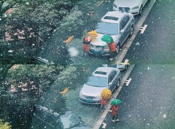 今天下大雪了！本南方孩子好兴奋ヽ(○´∀`)ﾉ♪ 看到两只摸鱼的小生物，你们那里下雪了吗？
如果做个雪地地图，大家会喜欢吗~（扣 1 表达期待之情让制作人看到）