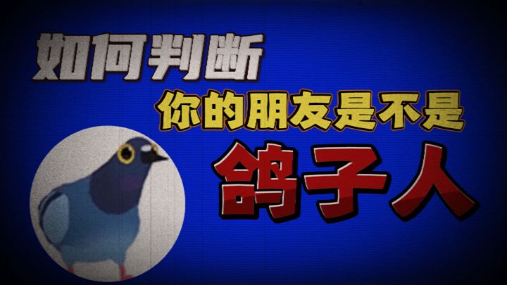 如何判断你的朋友是不是鸽子人?截图
