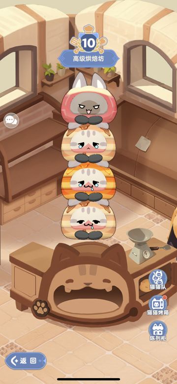 关于猫猫包的讲解