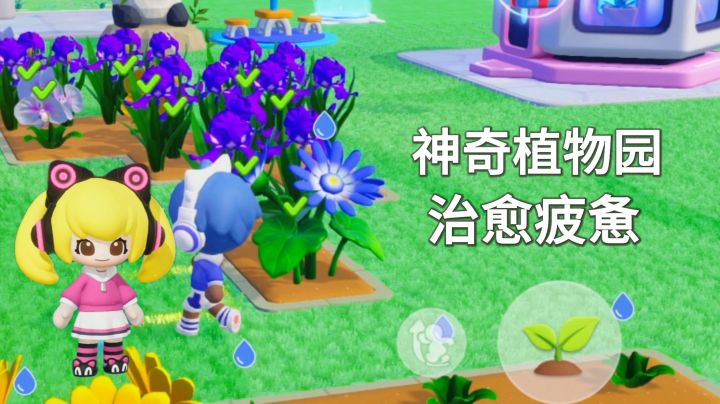 做自己的花园主理人,种花的快乐慢生活,神奇植物园治愈感满满截图