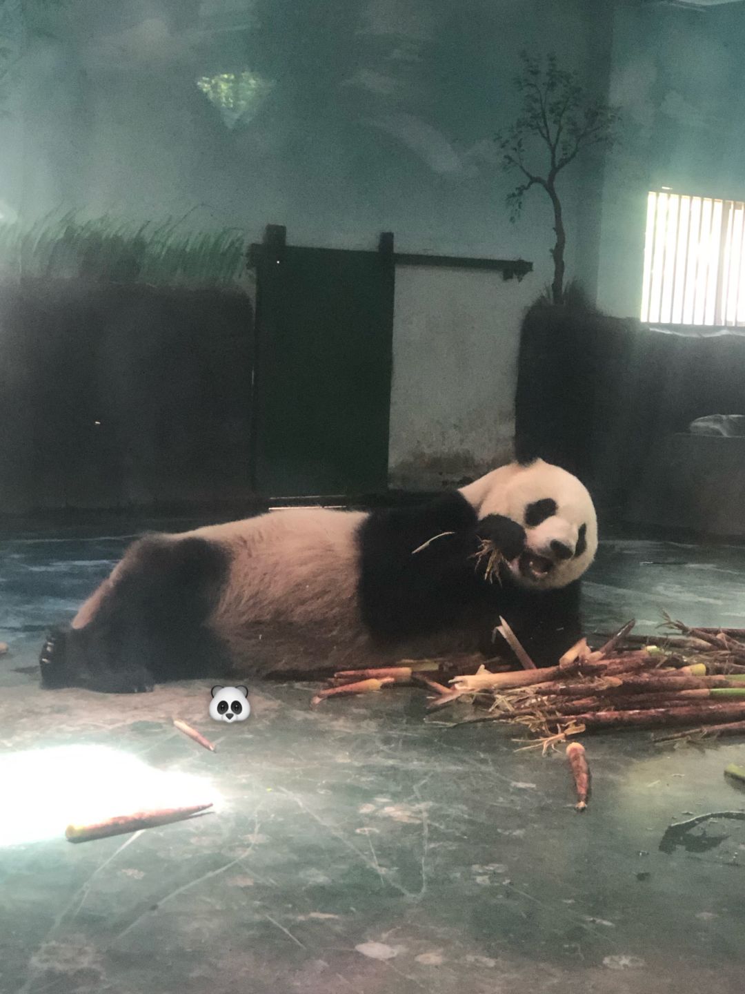 照片分享 6