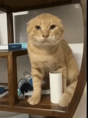 关于炼丹弟子选择火法则还是轮回法则