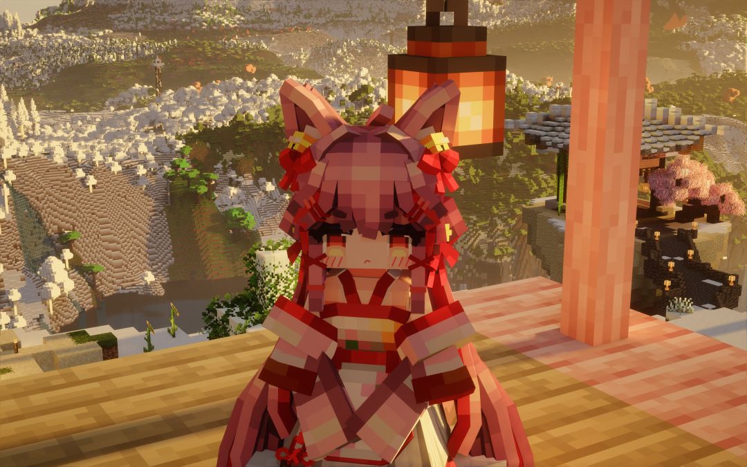 Hallo Minecraft 14