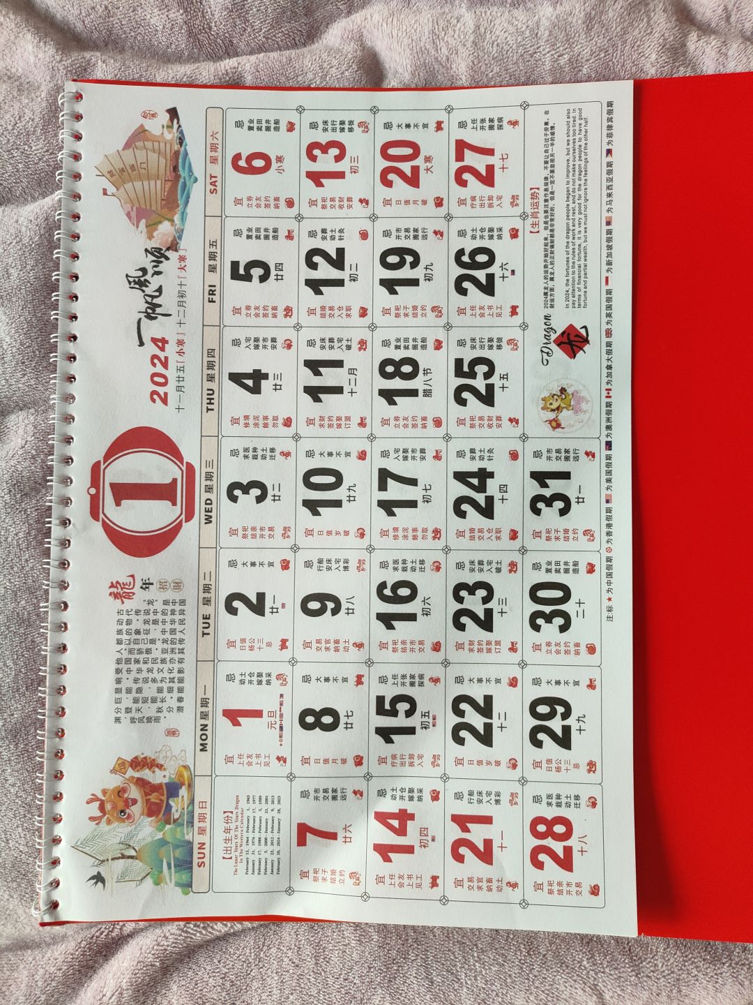 身边的“龙” 3
