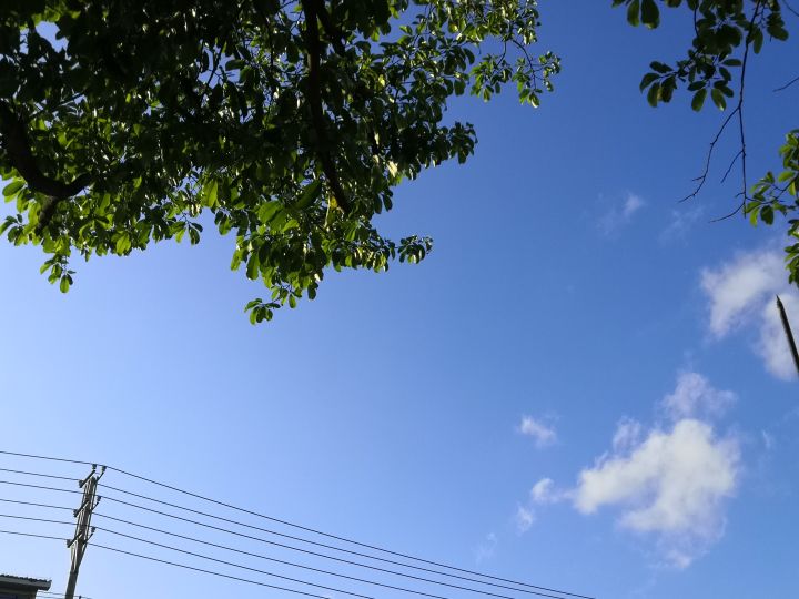 少女的王座最终还是下架了截图