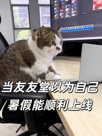 当我以为自己能暑假顺利上线……