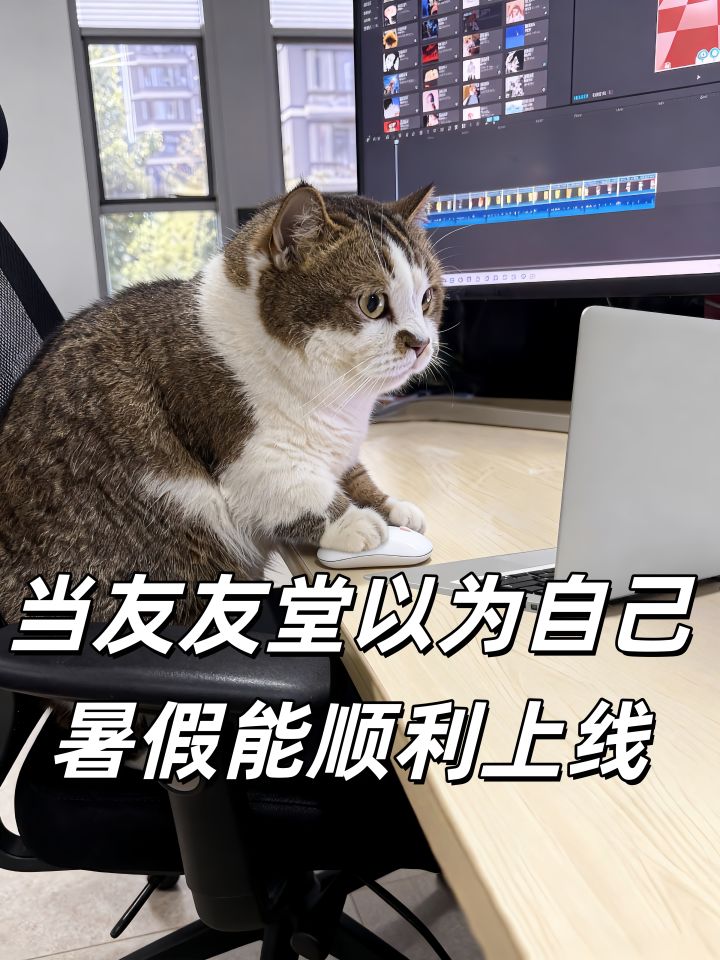 当我以为自己能暑假顺利上线……截图