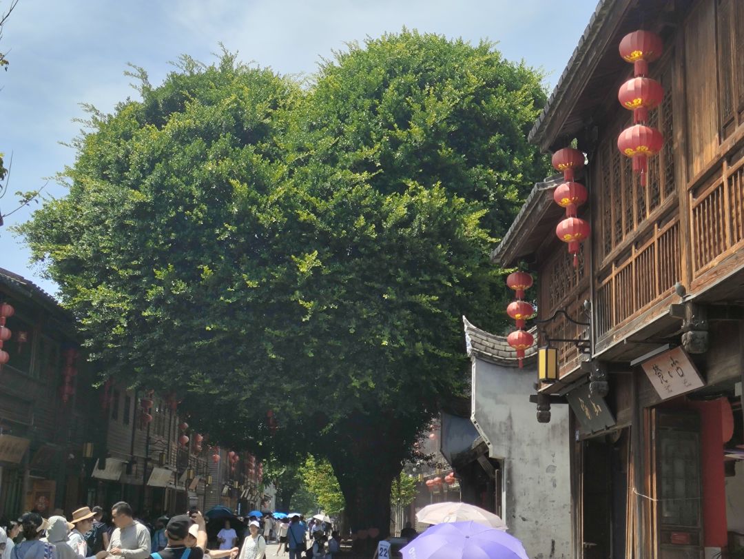 找玩伴 1