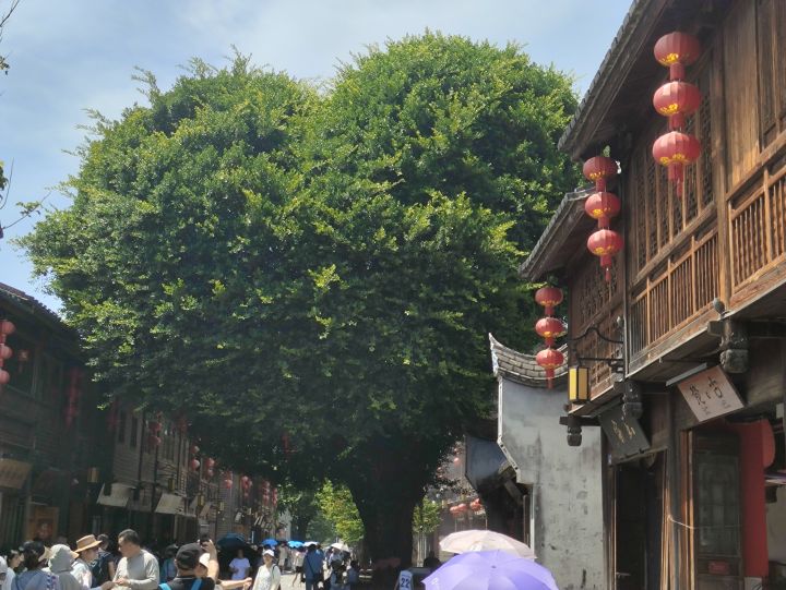 找玩伴截图