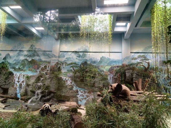 暑期生活分享第五天截图