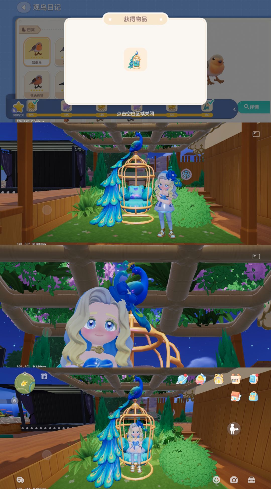 ❗️观鸟优等生跳级毕业🦚＋附五星攻略💰 2