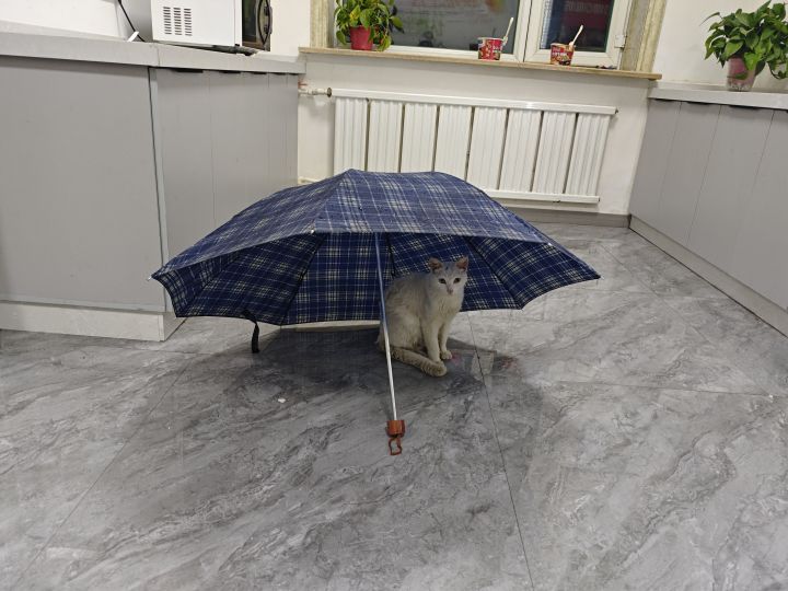 希望不要太黑截图