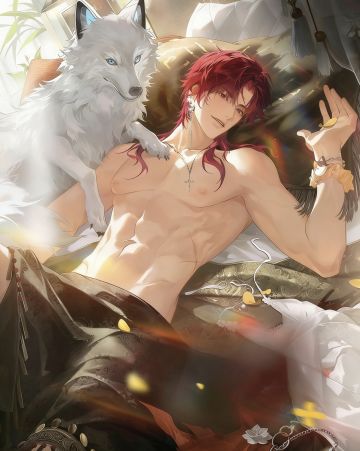 花与绯想新人攻略