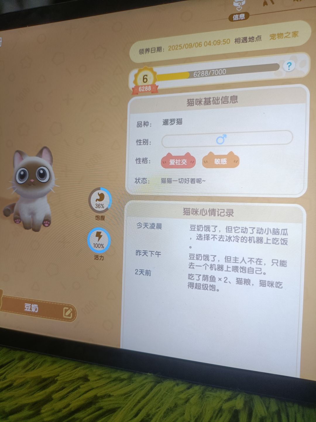 鸡肋,毁灭吧!!! 2