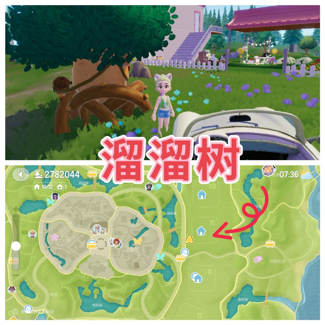 心动小镇10月4日溜溜树，萤石，每日兑换码 2