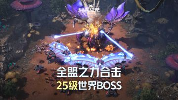 发展必争的重要资源，25级世界首领挑战技巧！