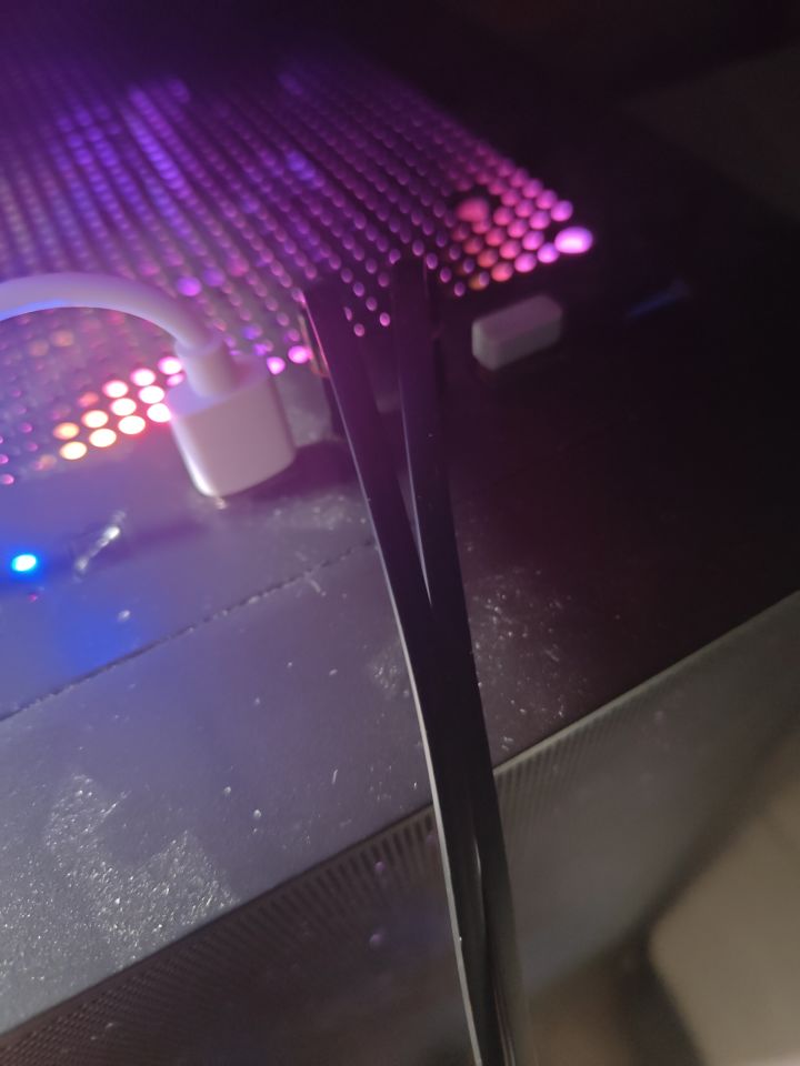 天使吉米Bunny兔截图