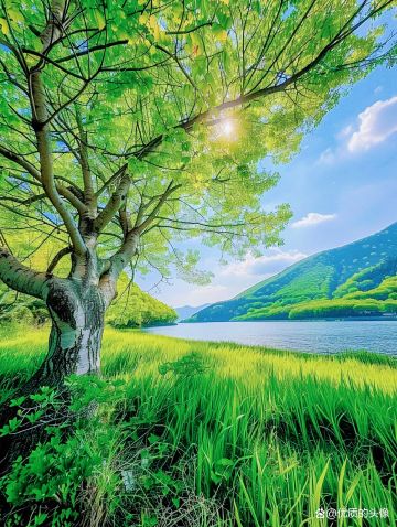 （封面无关）1月10日，官15渠3日车车发布