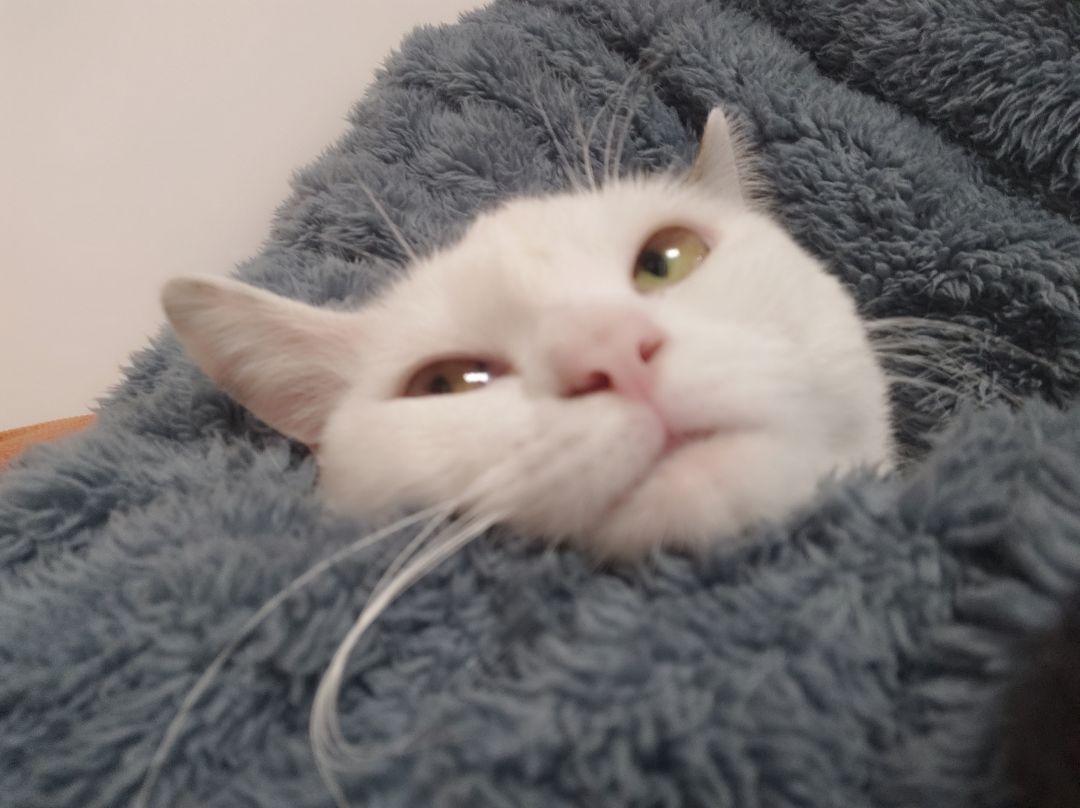 这玩意儿靠谱吗 2