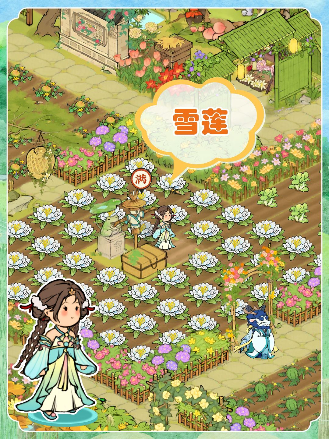 【今日仙山】在地里种下大朵大朵雪莲 1