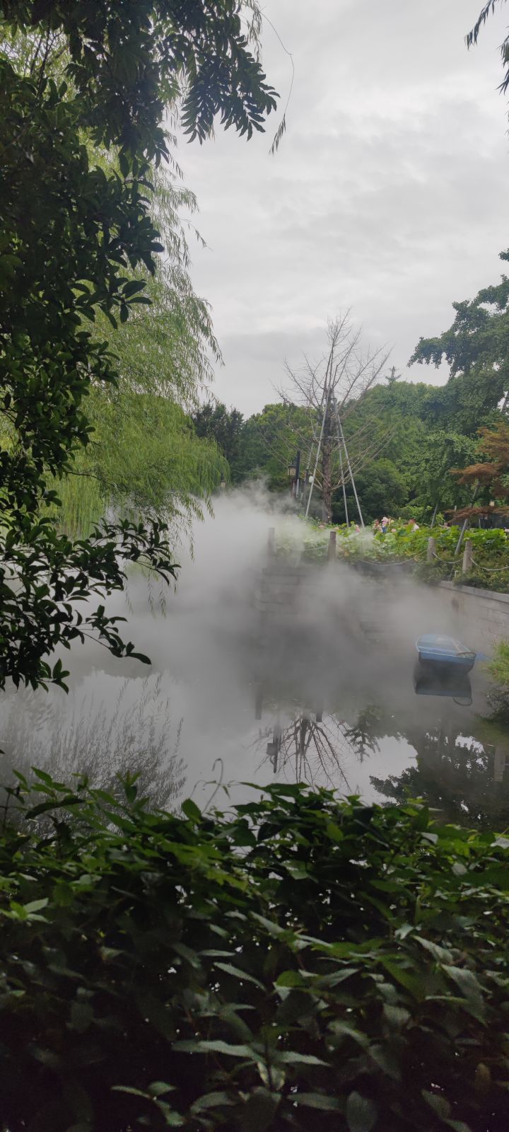 假日分享 第一天截图