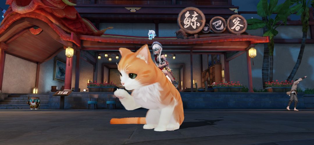 打卡打卡#猫与鲸巴客 1