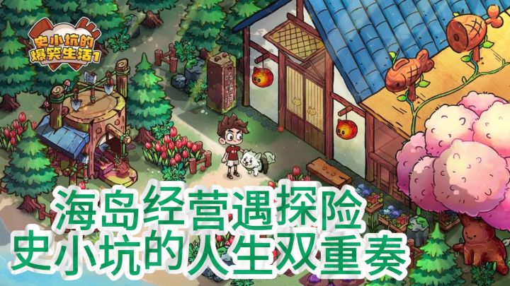 《史小坑的奇异海岛之旅:经营与探险的双重人生》截图