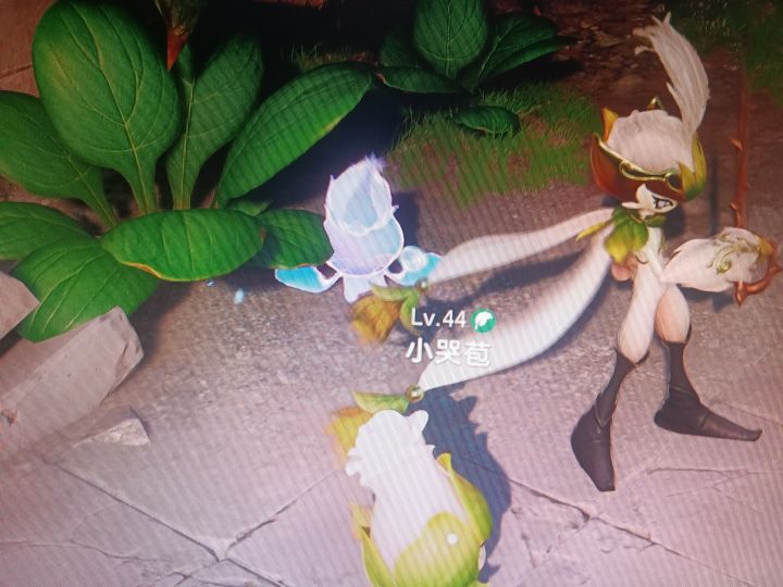 想问一下,这是什么形态?能抓吗?截图
