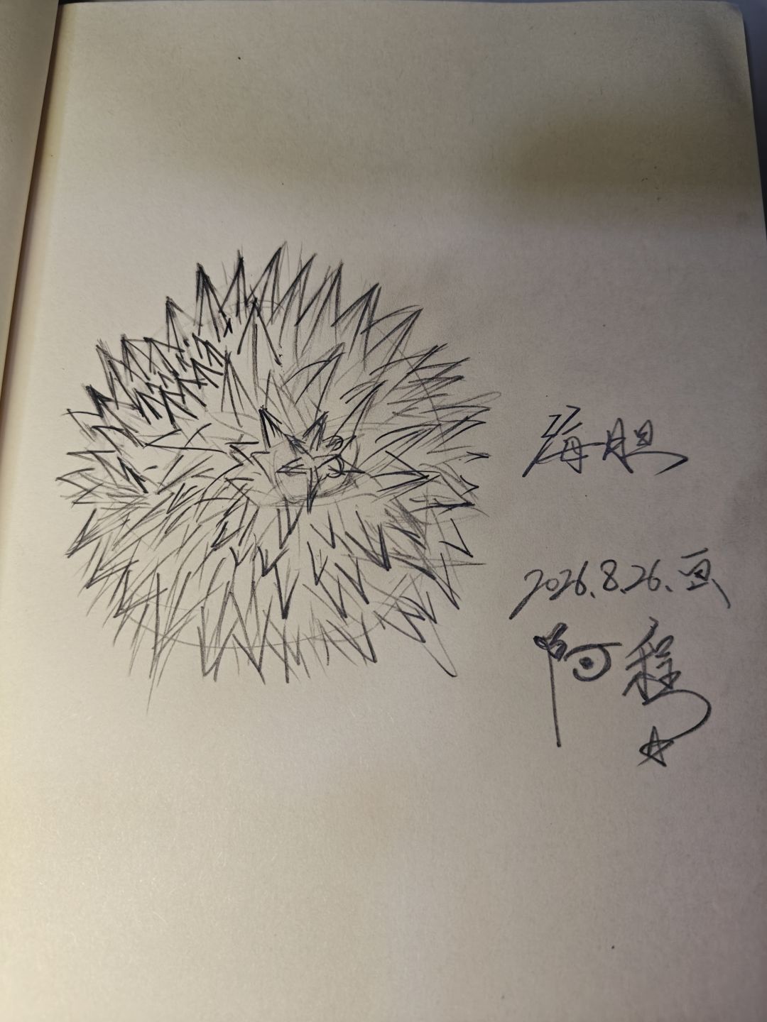 海胆! 1