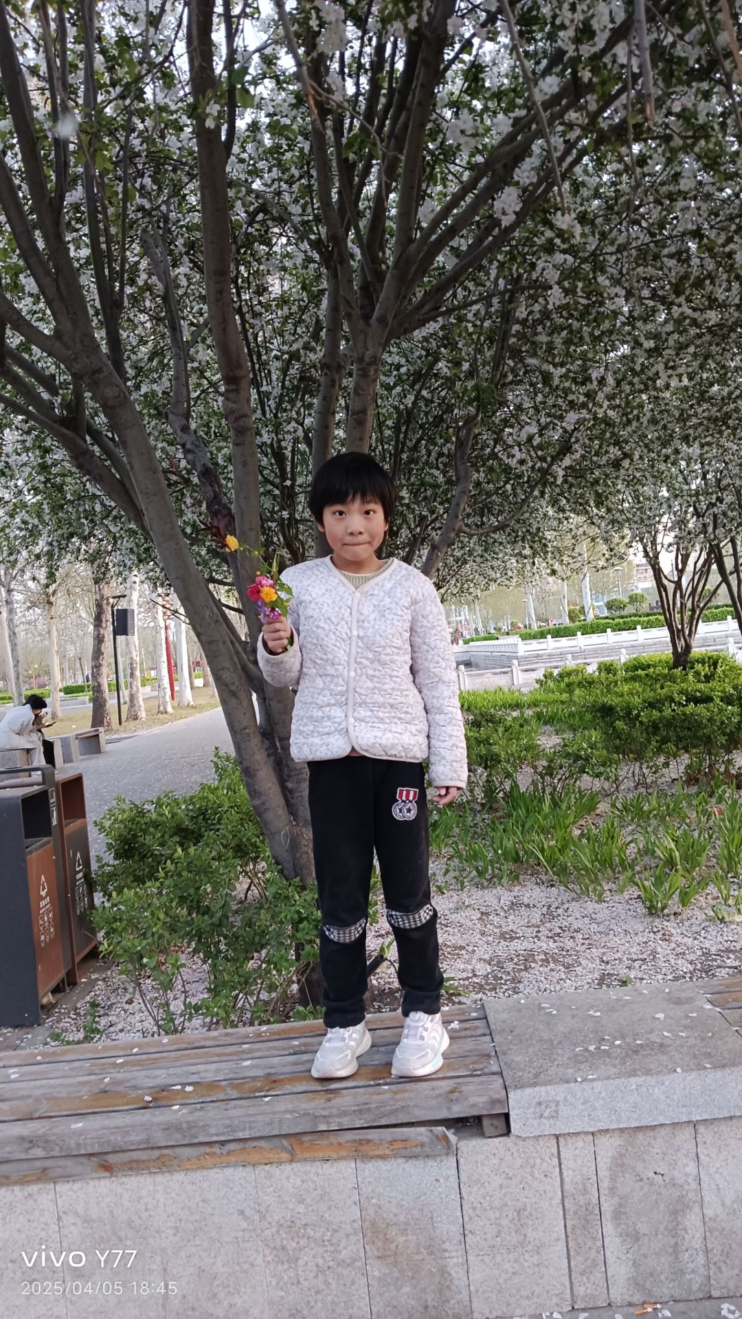 动态图片 15