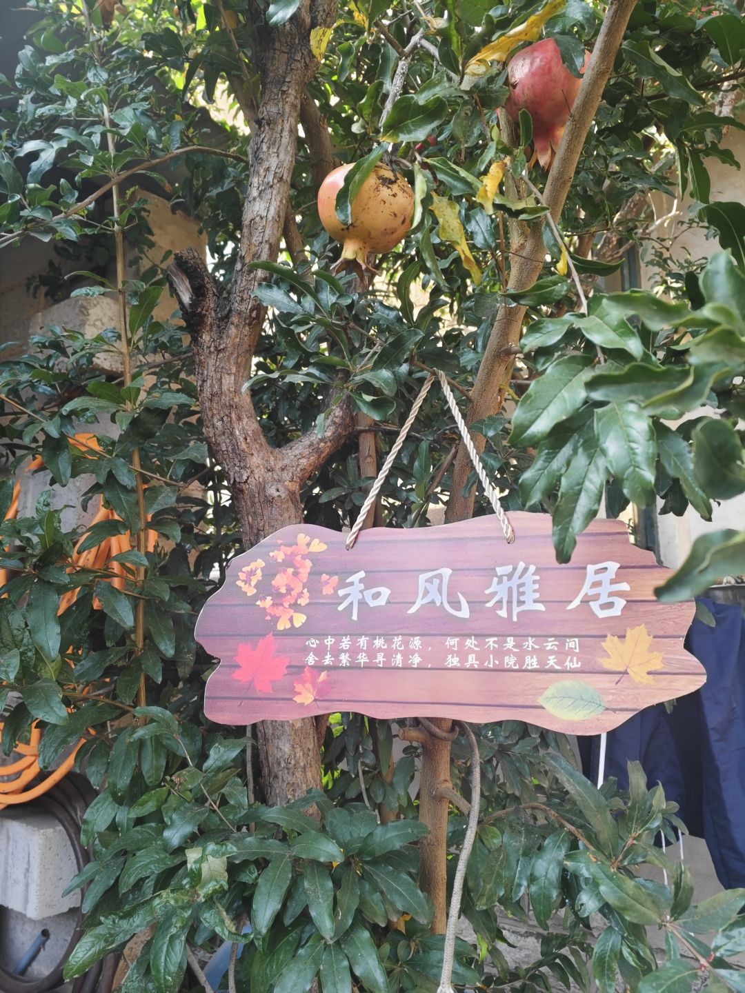 最近没事 1