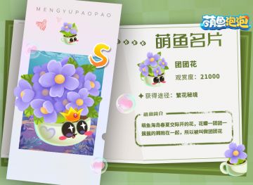 萌鱼名片丨路边的野花你不要采~