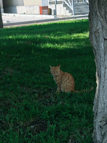 Clicca su questo post e buona fortuna