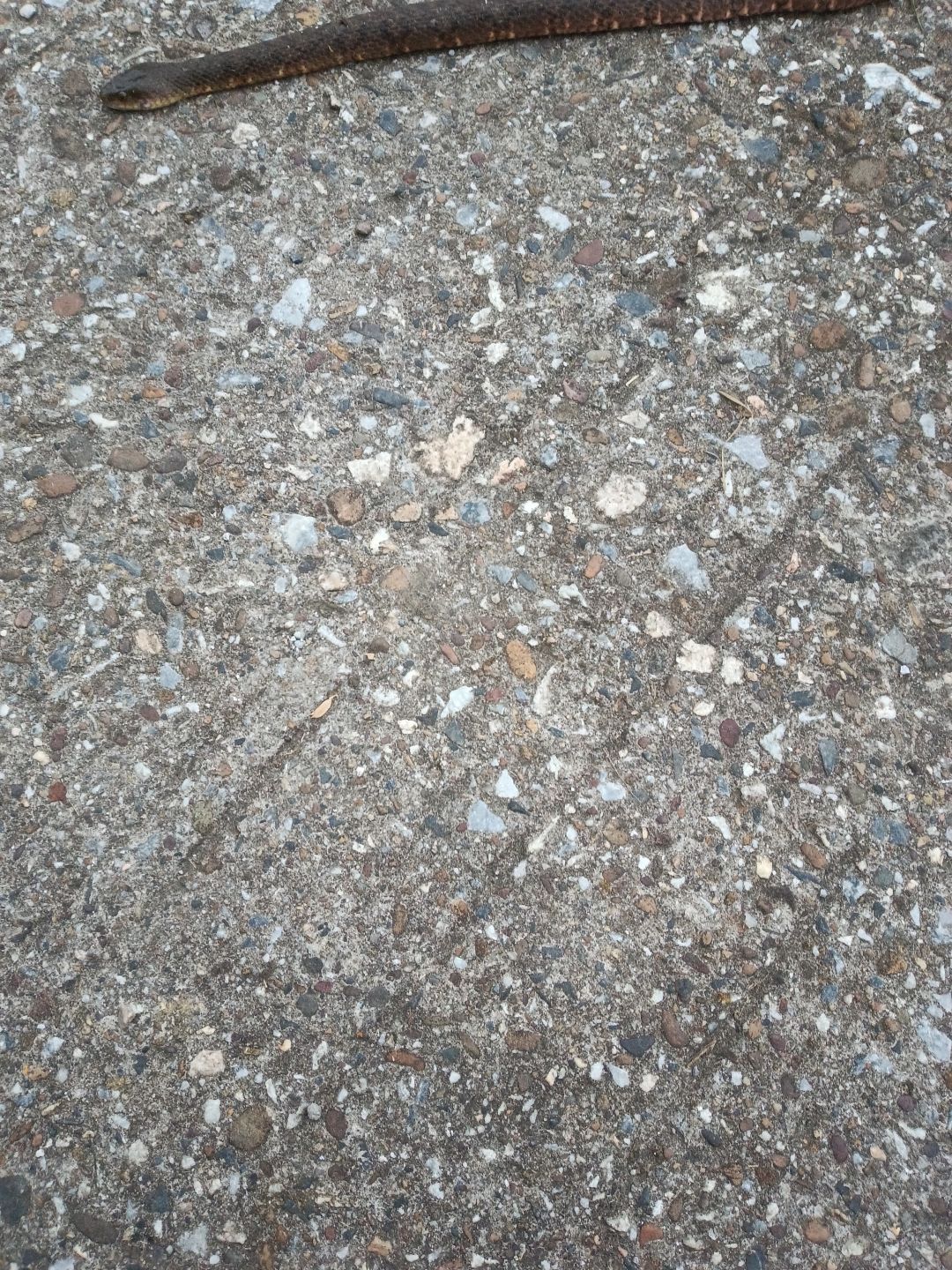 动态图片 4