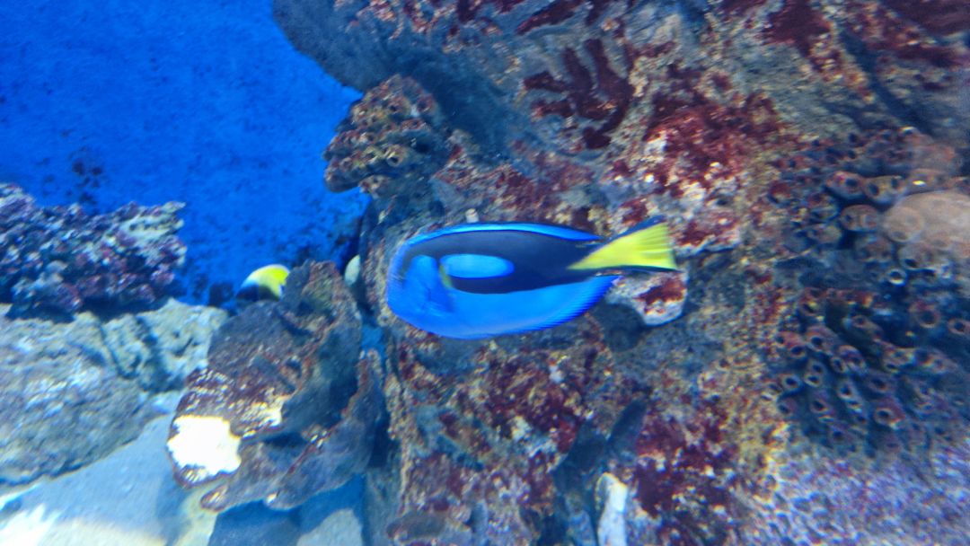 海洋公园 3