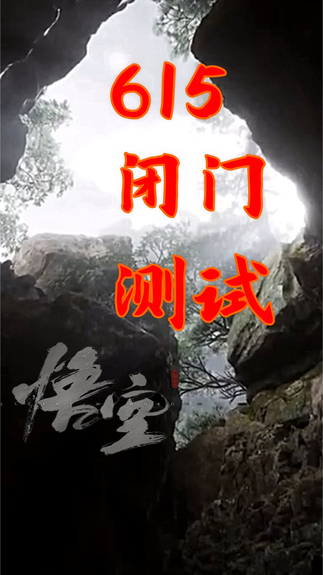 video-4173086