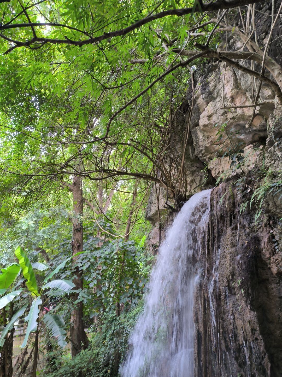 八月碎片 4