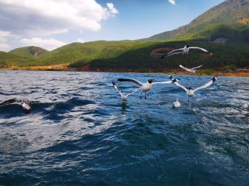 6月7日最新礼包