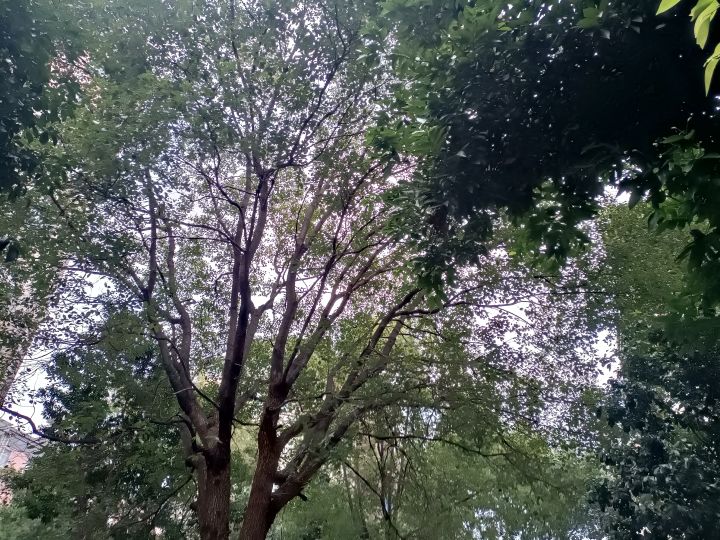 肝刀记录贴呀截图
