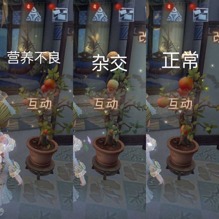 这小树苗挺有意思截图